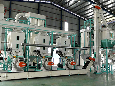 ring-die-pellet-production-line
