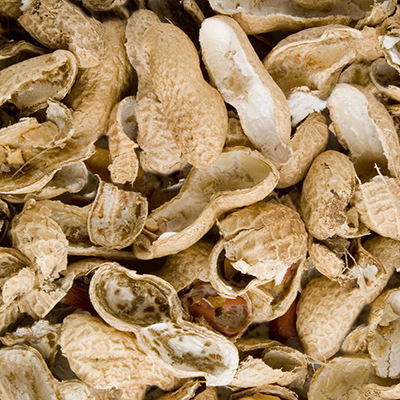 Peanut Shell